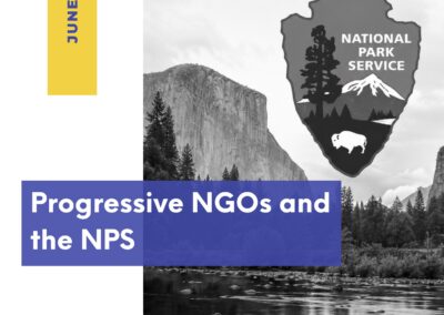 Progressive NGOs and the NPS